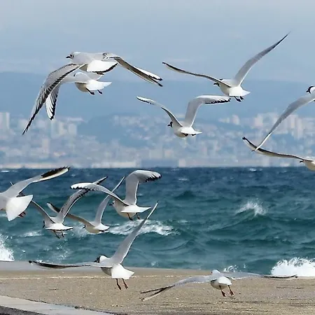 Apartament Ines, Cozy, Stunning View, Parking, Pet Friendly Opatija